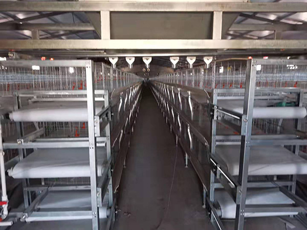 龙门行车试喂料机